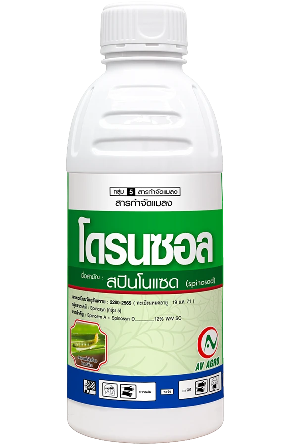 โดรนซอล